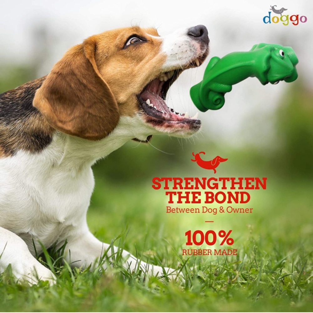 Dog Toys for Aggressive Chewers - Chewgo by Doggo Box, Mint Scented